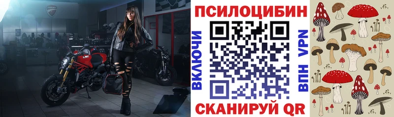 Псилоцибиновые грибы мицелий  Каргополь 