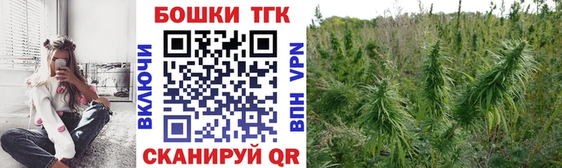 MEGA онион Каргополь МАРИХУАНА гибрид где найти